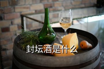 封壇酒是什么