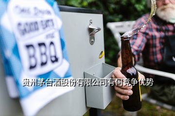 貴州茅臺酒股份有限公司有何競爭優(yōu)勢