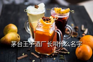 茅臺(tái)王子酒廠長(zhǎng)叫什么名字