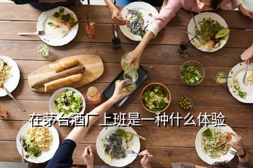 在茅臺酒廠上班是一種什么體驗