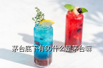 茅臺底下有60什么是茅臺嘛