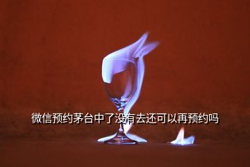 微信預(yù)約茅臺中了沒有去還可以再預(yù)約嗎