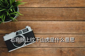 右肩膀上紋下山虎是什么意思