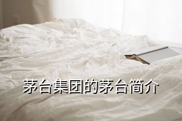 茅臺(tái)集團(tuán)的茅臺(tái)簡(jiǎn)介