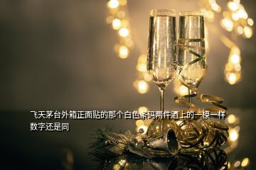 飛天茅臺(tái)外箱正面貼的那個(gè)白色條碼兩件酒上的一模一樣數(shù)字還是同