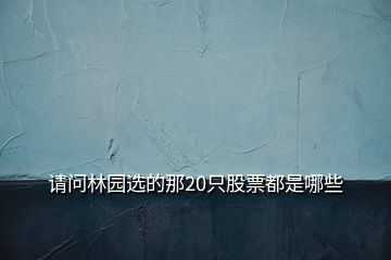 請問林園選的那20只股票都是哪些