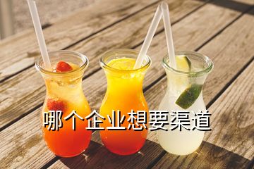 哪個企業(yè)想要渠道