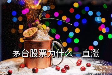 茅臺(tái)股票為什么一直漲