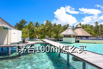 i茅臺(tái)100ml怎么買