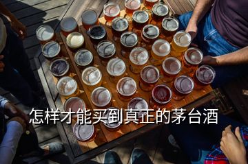 怎樣才能買(mǎi)到真正的茅臺(tái)酒