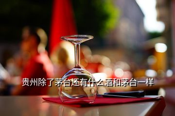 貴州除了茅臺(tái)還有什么酒和茅臺(tái)一樣