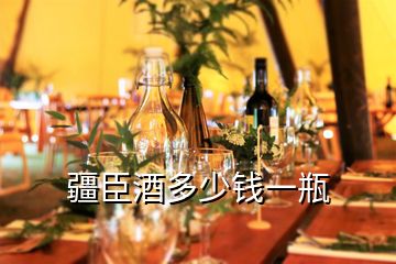 疆臣酒多少錢(qián)一瓶