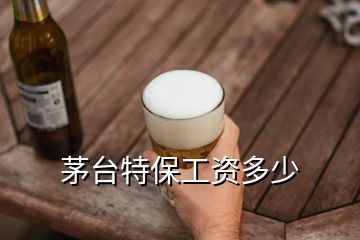 茅臺特保工資多少