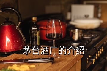 茅臺(tái)酒廠的介紹