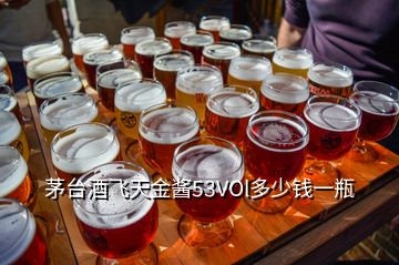 茅臺(tái)酒飛天金醬53VOl多少錢一瓶