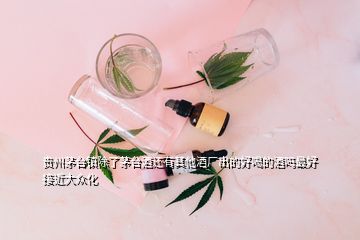 貴州茅臺(tái)鎮(zhèn)除了茅臺(tái)酒還有其他酒廠(chǎng)出的好喝的酒嗎最好接近大眾化