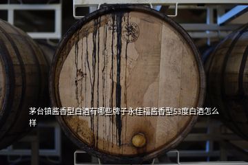 茅臺鎮(zhèn)醬香型白酒有哪些牌子永佳福醬香型53度白酒怎么樣