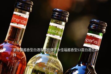 茅臺鎮(zhèn)醬香型白酒有哪些牌子永佳福醬香型53度白酒怎么樣