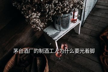 茅臺酒廠的制酒工人為什么要光著腳