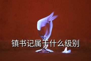 鎮(zhèn)書記屬于什么級別