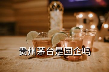 貴州茅臺(tái)是國(guó)企嗎