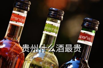 貴州什么酒最貴