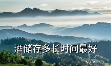 酒儲(chǔ)存多長(zhǎng)時(shí)間最好