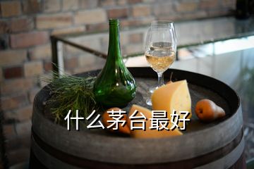 什么茅臺最好