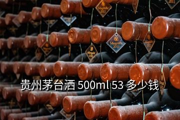 貴州茅臺(tái)灑 500ml 53 多少錢