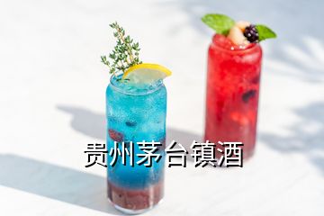 貴州茅臺鎮(zhèn)酒