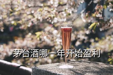 茅臺(tái)酒哪一年開(kāi)始盈利