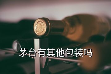 茅臺(tái)有其他包裝嗎