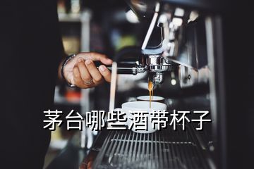 茅臺(tái)哪些酒帶杯子