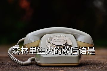 森林里生火的歇后語是