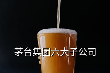 茅臺集團(tuán)六大子公司