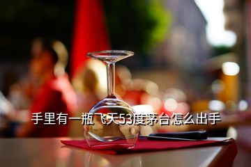 手里有一瓶飛天53度茅臺怎么出手