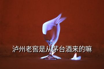 瀘州老窖是從茅臺(tái)酒來(lái)的嘛