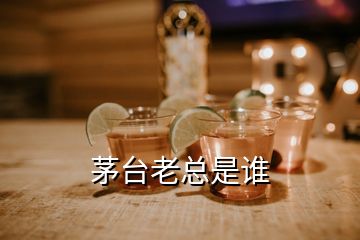 茅臺(tái)老總是誰(shuí)