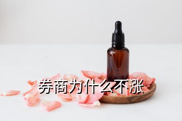 券商為什么不漲