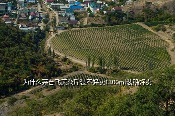 為什么茅臺飛天公斤裝不好賣1300ml裝確好賣