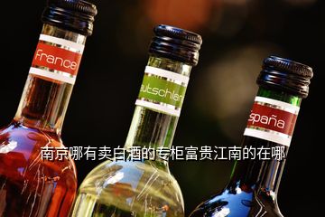 南京哪有賣白酒的專柜富貴江南的在哪