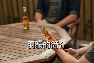 羽觴的簡(jiǎn)介