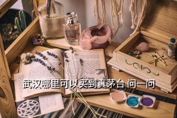 武漢哪里可以買到真茅臺(tái) 問(wèn)一問(wèn)