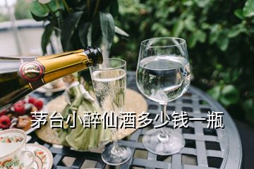 茅臺(tái)小醉仙酒多少錢(qián)一瓶