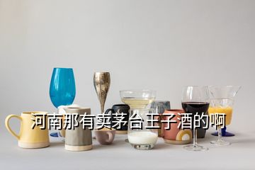 河南那有賣茅臺王子酒的啊