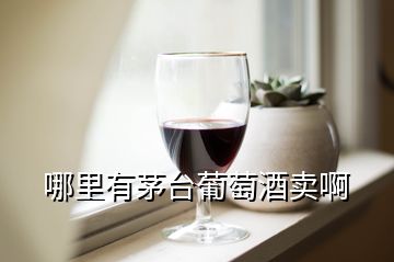 哪里有茅臺(tái)葡萄酒賣啊