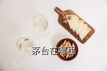 茅臺(tái)在哪里