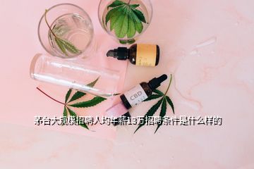 茅臺(tái)大規(guī)模招聘人均年薪13萬招聘條件是什么樣的