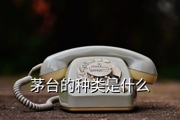 茅臺(tái)的種類是什么