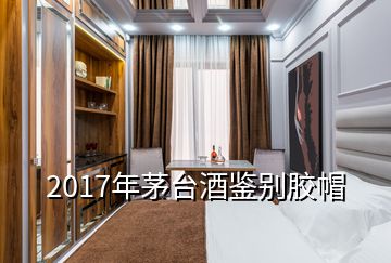 2017年茅臺(tái)酒鑒別膠帽